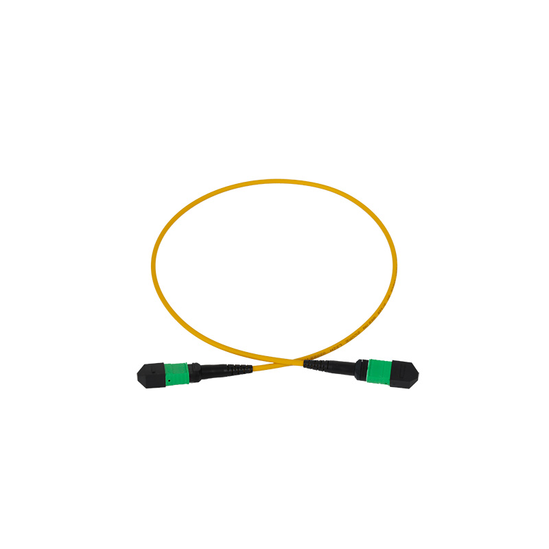 MPO Single Mode OS1 OS2 9 125 Fiber Patch Cord-1