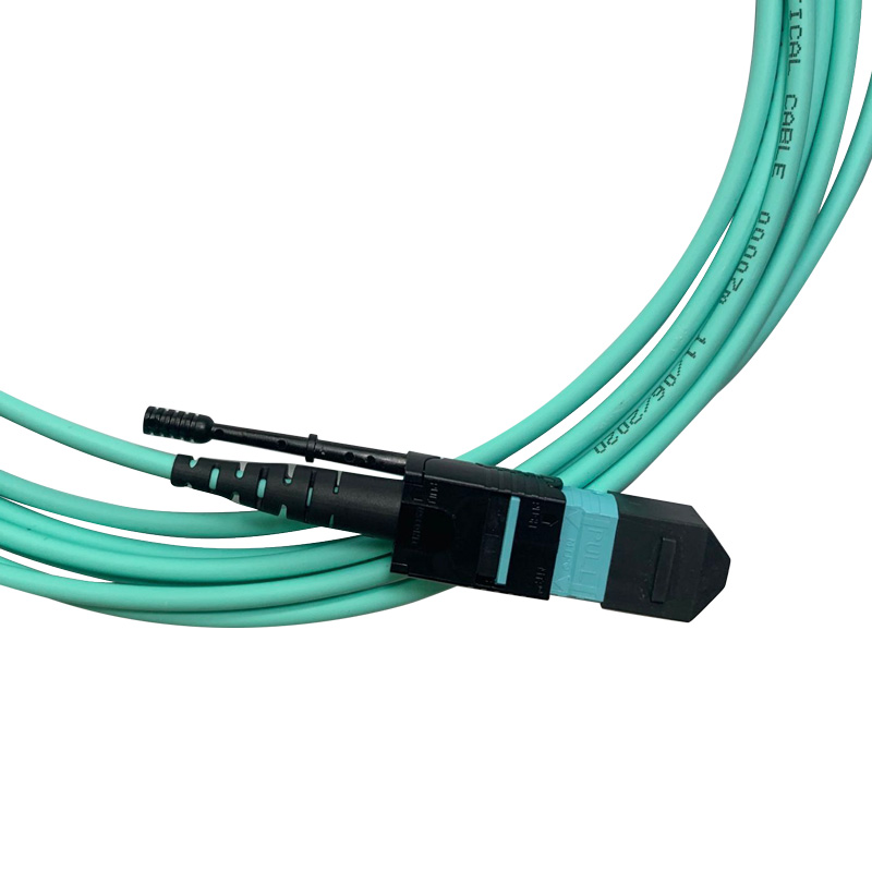 MTP 12 Fiber Patch Cable pẹlu PushPull Awọn taabu-3