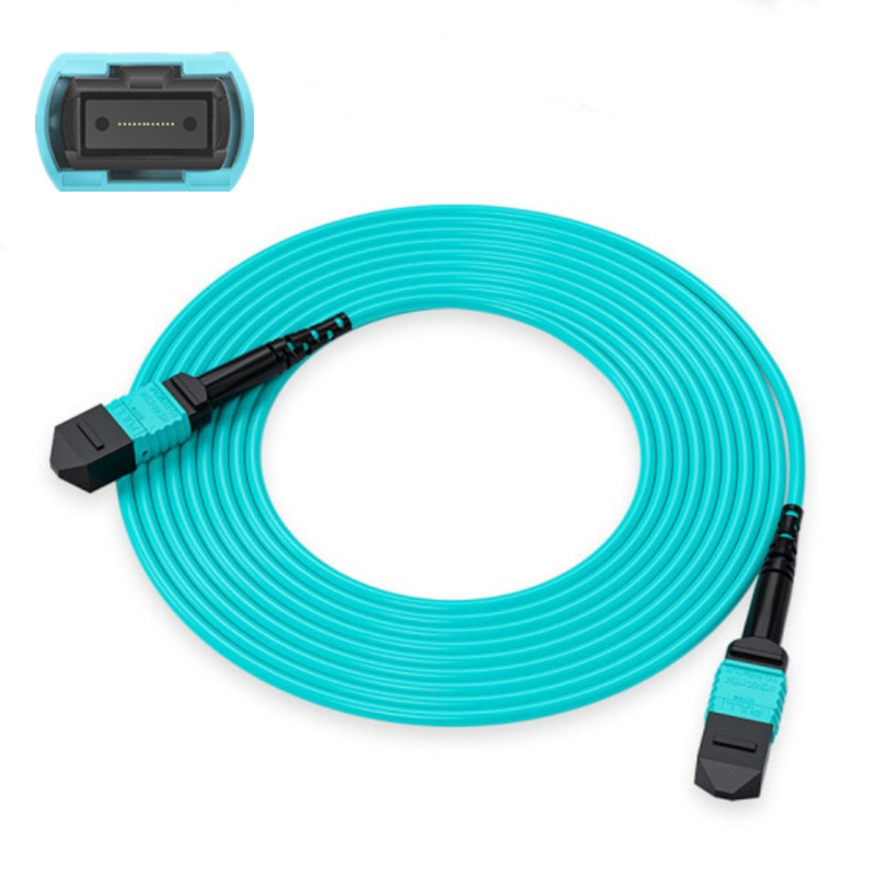 MTP zuwa MTP Multimode 12 Fiber Optical Fiber Cable-1