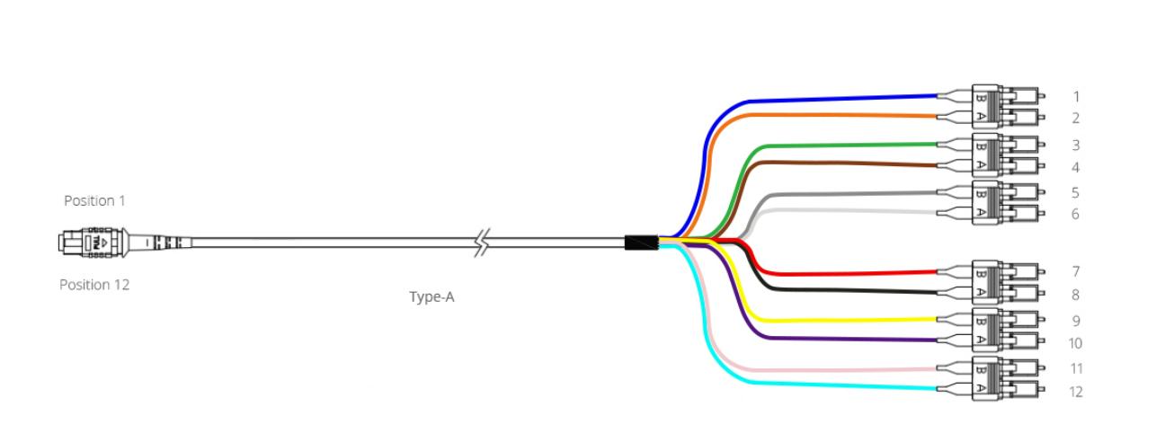 Polarity A-1