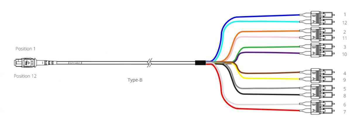 Polarity B-1