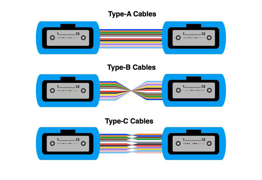 Polarity Type