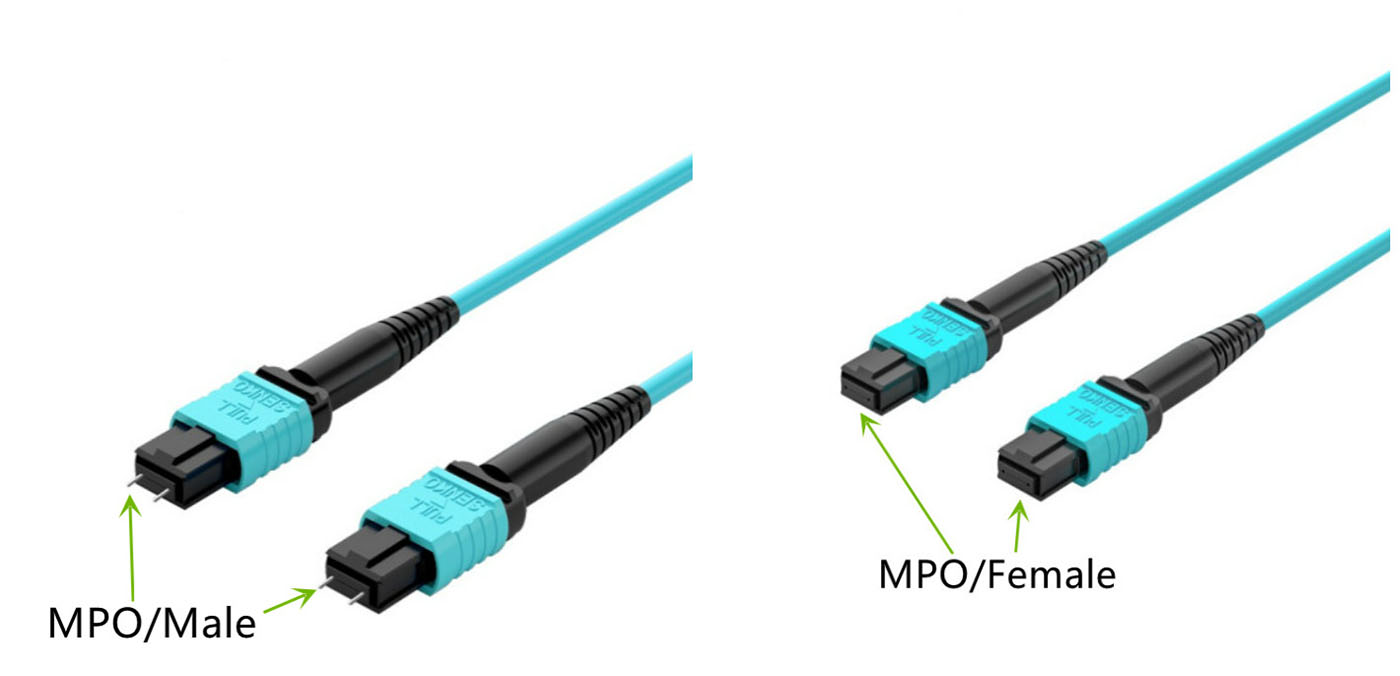 MPO Connector Type