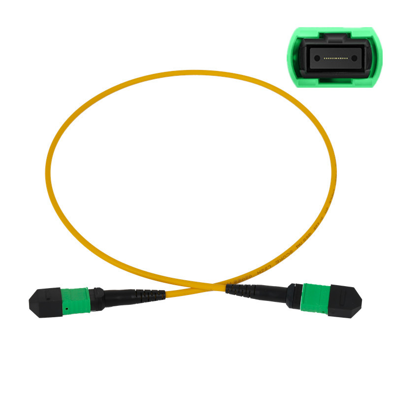 MPO to MPO Singlemode 12 Fibers Fiber Optic Patch Cord-1
