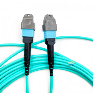 https://www.raisefiber.com/mtp-mpo-optical-patch-cord/