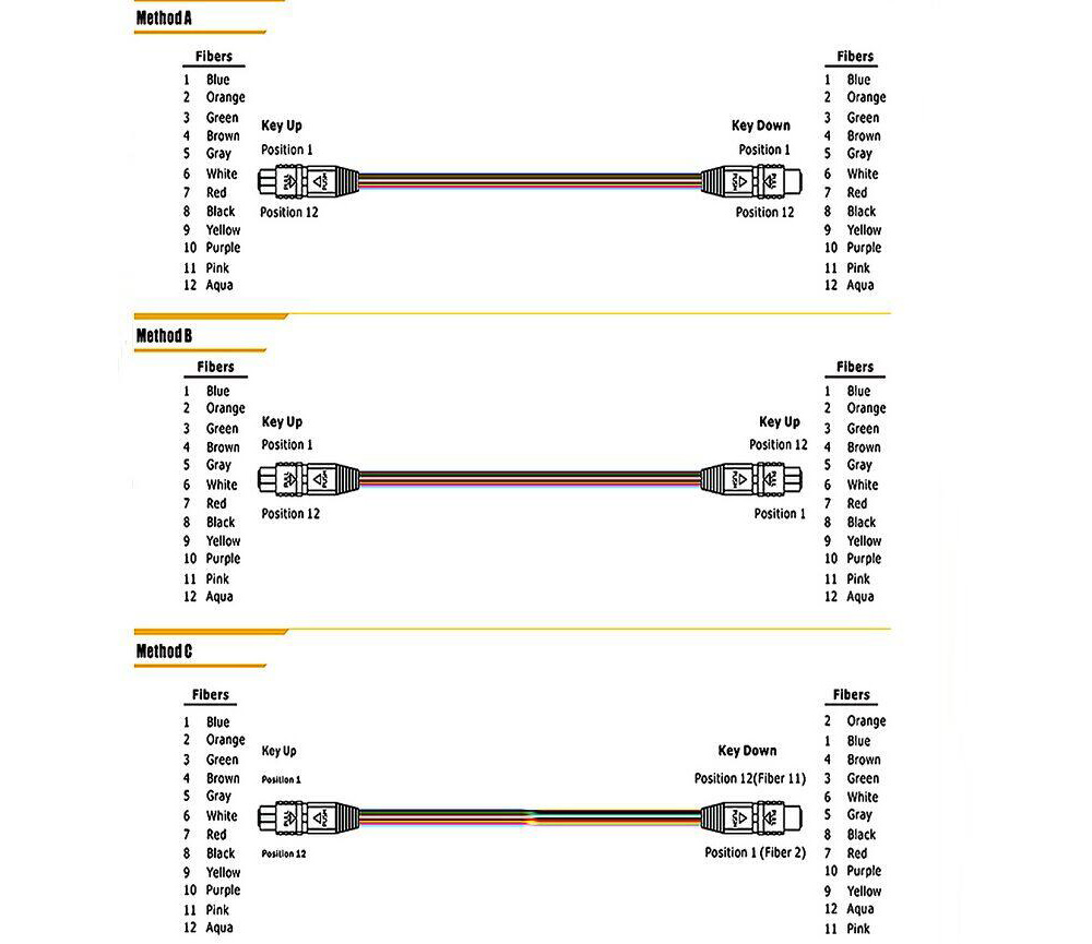 Polarity Type