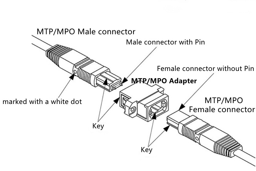Structure of MTP MPO Connectors